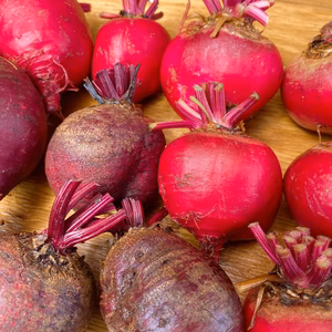 訳あり販売【無農薬・無肥料】1.7kgのビーツ 限界集落｢田万里町からお届け｣