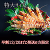 【数量限定】12/20までに発送の方限定！活き車海老の特大サイズ！