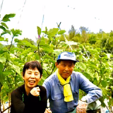 矢出　功 | やで農園