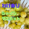 訳あり♡極甘♡シャインマスカット♡山形県産ぶどう