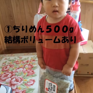 ちりめん１キロ釜揚げ４パックセット【１パックは訳あり】