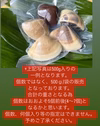 千葉県産　ハマグリ【冷凍】