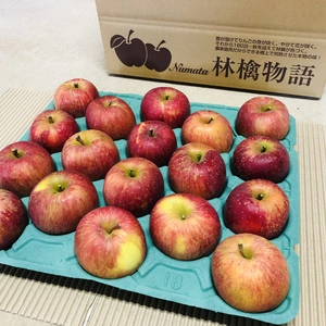 【数量限定】リンゴ品種「高橋系ふじ」B級品　18個　約5kg