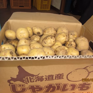 【北海道産じゃがいも】トロっとした甘さがクセになる「北あかり」　Ｌ〜Ｍ混み
