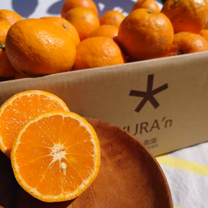 カラマンダリン(なつみ)　サイズM～２L混合　通常品の家庭用です。