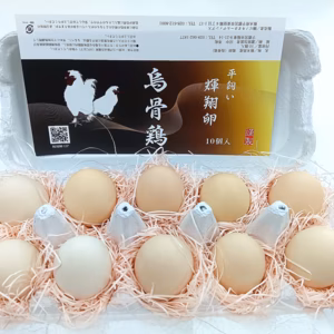 烏骨鶏　【10個入】平飼い　濃厚な黄身の卵！輝翔卵（きしょうらん）
