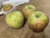 【追加します！】無農薬栽培りんご（シナノスート）2,2㎏（4-8玉）