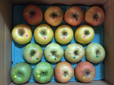 みんなの投稿の画像