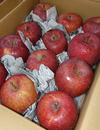 【先行予約】入手困難！『紅玉』約5kg家庭用　酸味があってお菓子作りに最適!