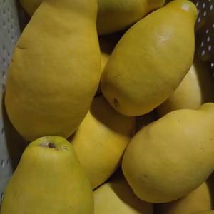 「本花梨」 花梨には喉に良い成分が含まれています。砂糖漬けに、花梨酒に。