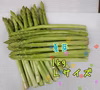 夏芽アスパラガス　Lサイズ1kg