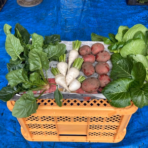 桜島の大自然！無農薬有機肥料、除草剤不使用で育てた旬の野菜セット