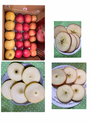 みんなの投稿の画像