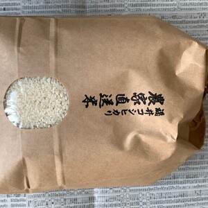 農家直送米　福井こしひかり　５ｋｇ