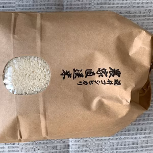 令和５年産　農家直送米　福井こしひかり　５ｋｇ