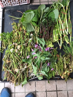 みんなの投稿の画像