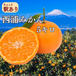 北海道へお届け　西浦みかん （12、1、2、3月限定）冷蔵便