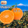 北海道へお届け　西浦みかん （12、1、2、3月限定）冷蔵便
