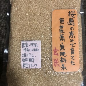 桜島の恵みで育てた無農薬無肥料、除草剤不使用の玄米ヒノヒカリ