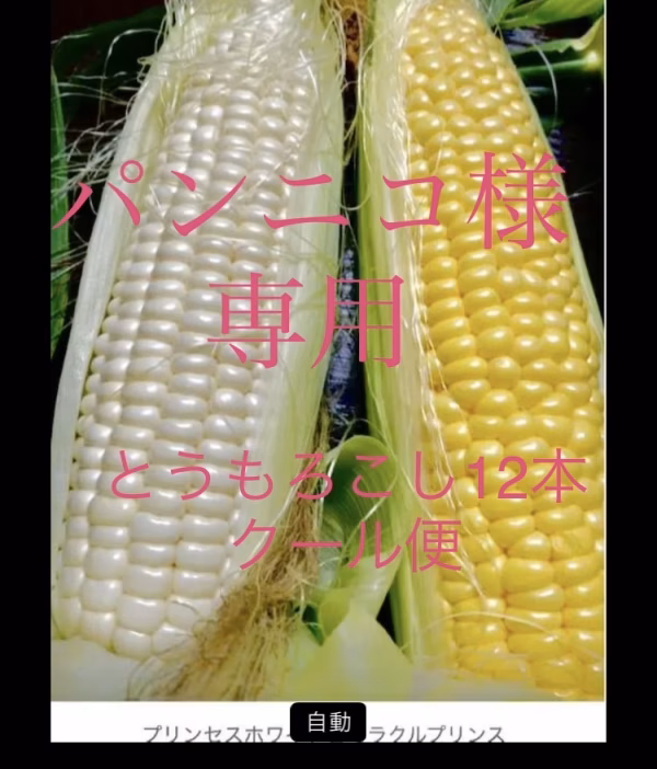 パンニコ様とうもろこし12本白6黄色6計12本