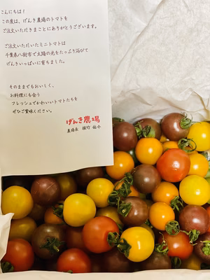 みんなの投稿の画像