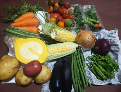 みんなの投稿の画像