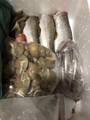 みんなの投稿の画像