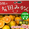 ちょっと傷あり【極早生・有田みかん】SまたはSSサイズ／5kg【南泰園】