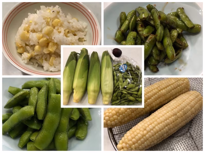 みんなの投稿の画像