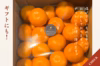 屋根かけ越冬みかん 3キロギフトにも　有田みかん　早生みかん