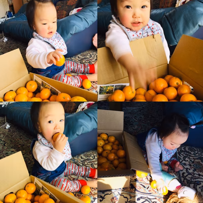 みんなの投稿の画像