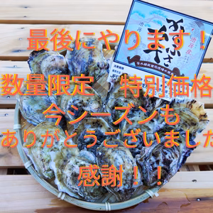 今シーズン…後10箱で終了です！　規格外の豆(小)カキ・からふさ牡蠣