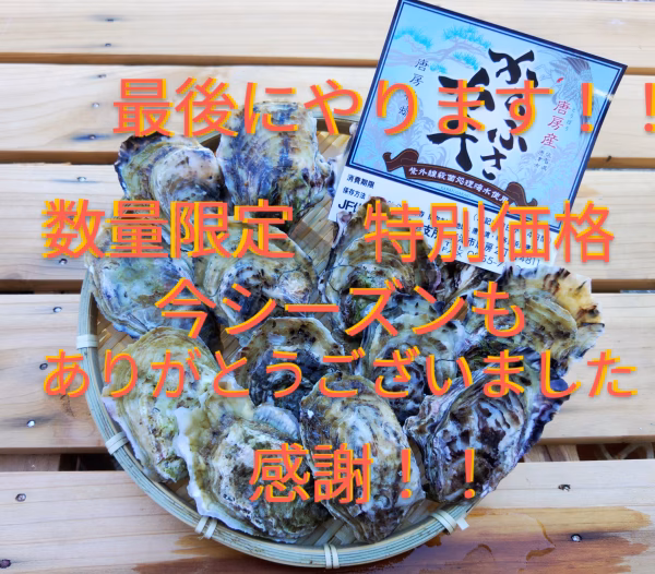 今シーズン…後10箱で終了です！　規格外の豆(小)カキ・からふさ牡蠣