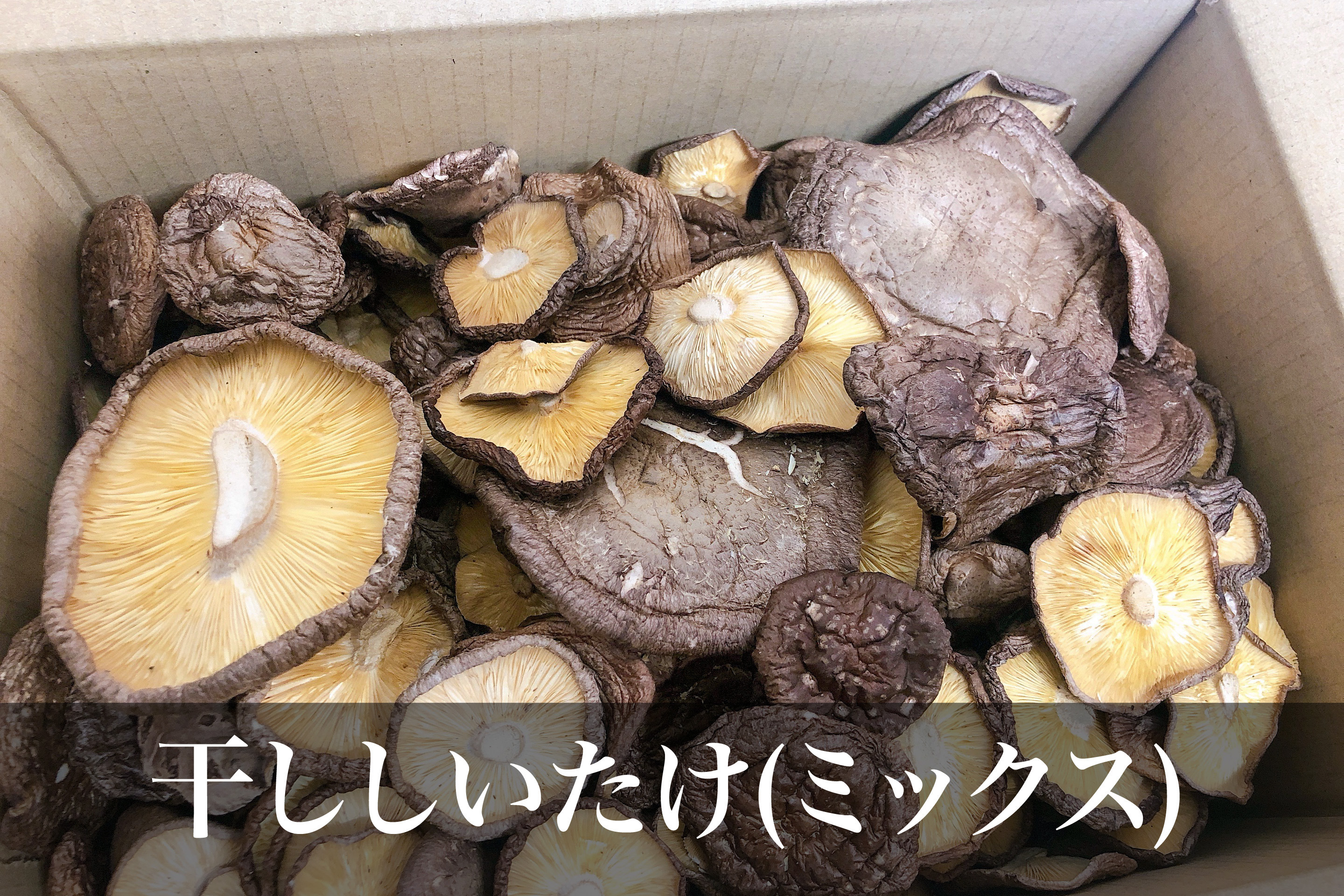 軸なし干ししいたけミックス 使い勝手抜群 湯布院産干ししいたけ 野菜の商品詳細 ポケットマルシェ 産直 産地直送 通販 旬の果物 野菜 魚介をお取り寄せ