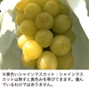 10月のお届け 訳あり ぶどう シャインマスカット 約900g 2パック