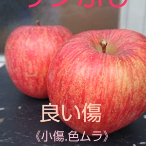 岩手県産　サンふじ　訳あり
