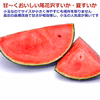甘～い夏すいか 尾花沢小玉すいか・紅小紅 山形県産【予約販売】 