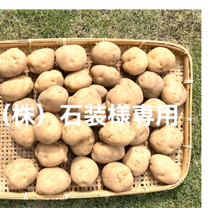 【新じゃがいも 2〜3Ｌ・15kg】石装様専用