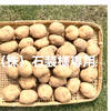 【新じゃがいも 3Ｌ・10kg】（株）石装様専用