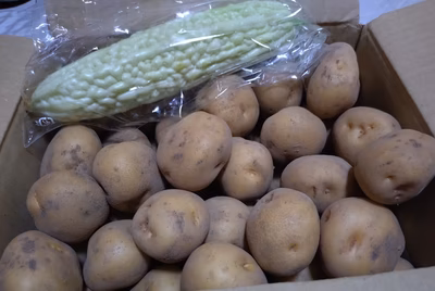 みんなの投稿の画像