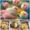 岡山　とにかく甘い！新品種【白皇】　ご家庭用白桃✨（中玉）