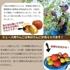 【送料無料】規格外のりんごだからお買い得！加工用りんご　20kg～