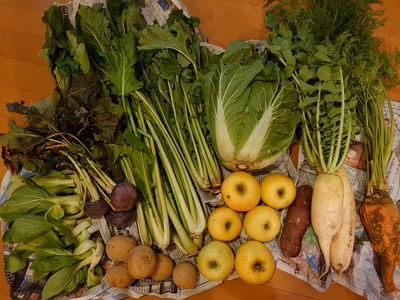 みんなの投稿の画像