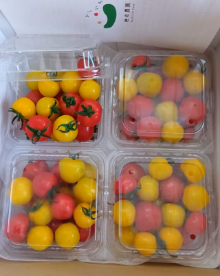 みんなの投稿の画像