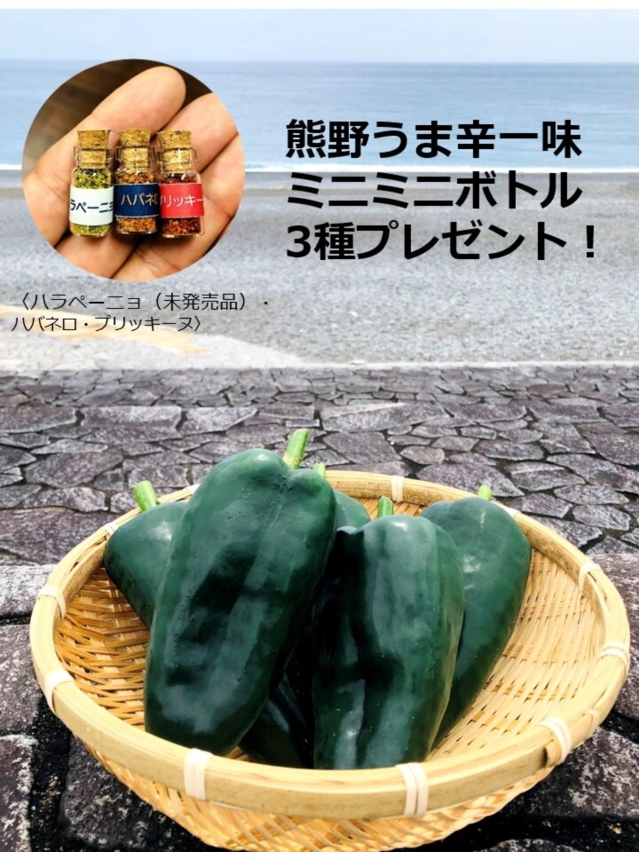 熊野のうま辛ポブラノ〈生〉1kg おまけ付 ハウス栽培 | 農家漁師から産地直送の通販 ポケットマルシェ