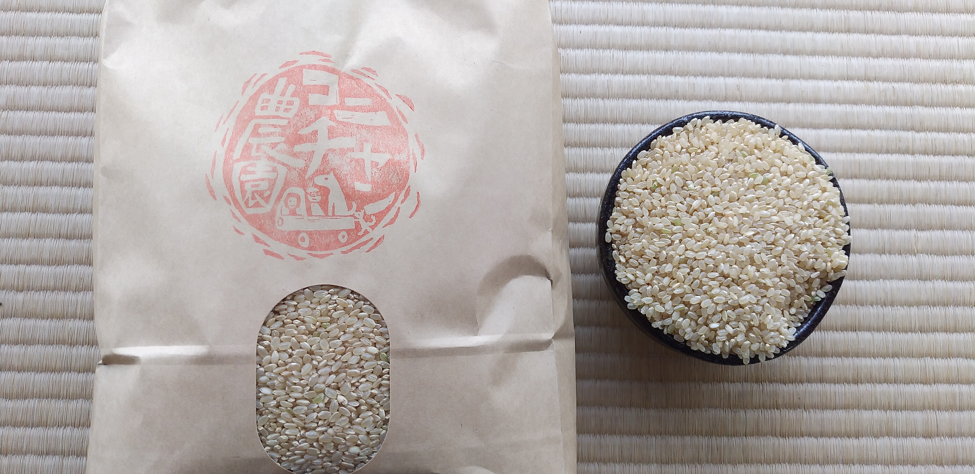 奥京都より新米お届け！令和5年度産 特別栽培米コシヒカリ 新米2０ｋｇ
