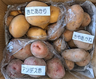 みんなの投稿の画像