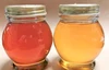 知多半島の蜂蜜2種食べ比べセット