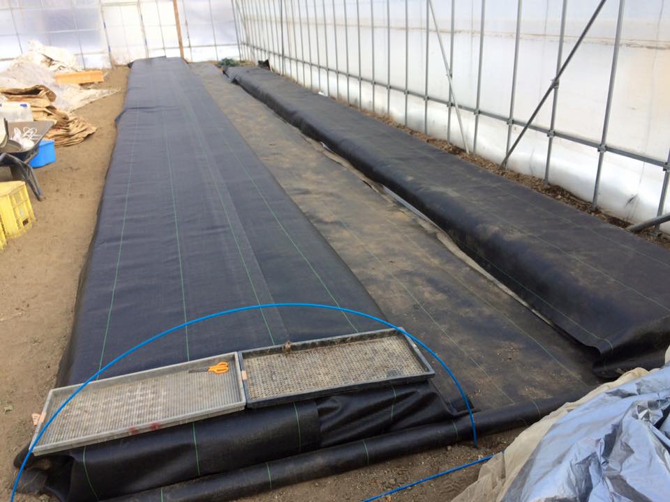 12669456_967303936693274_7735573266784471380_n