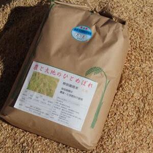 【隔月定期】ひとめぼれ農薬・化学肥料不使用栽培 玄米 2kg～